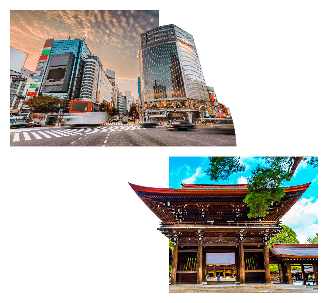 Sightseing company trip Tokyo 04
